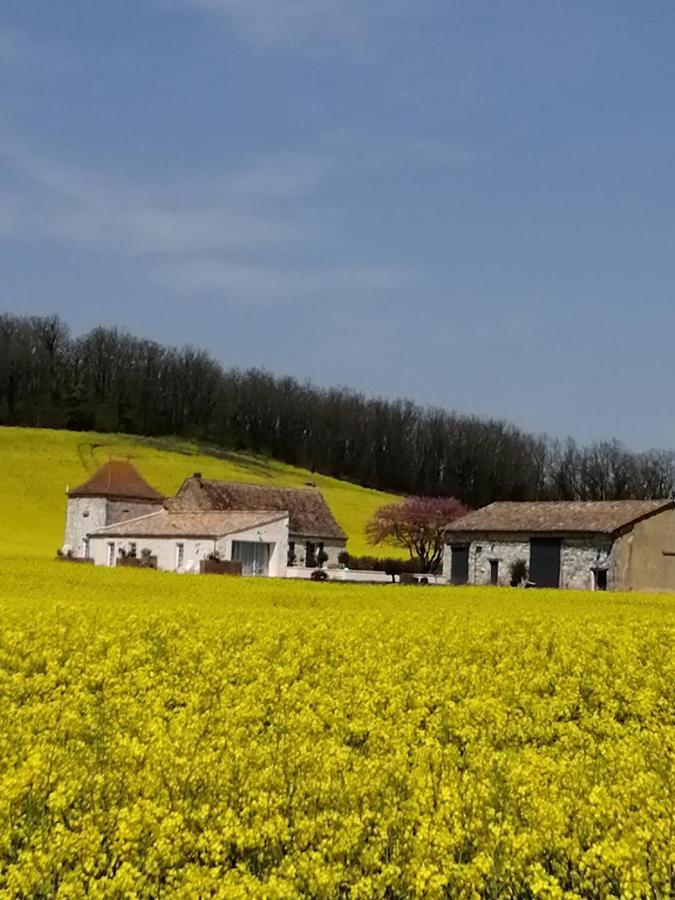 Villa Les Cyprès de Crose à Badefols-sur-Dordogne Extérieur photo